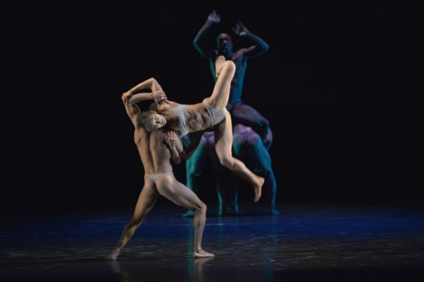 Pilobolus