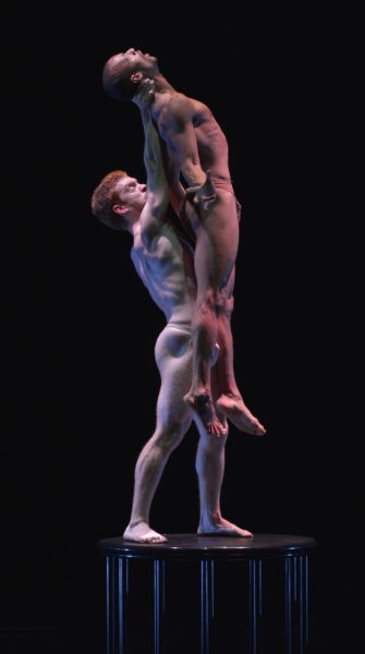 Pilobolus