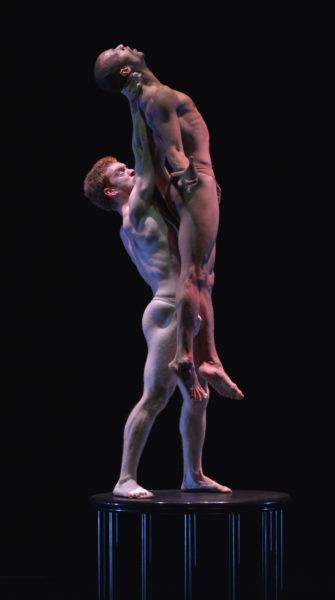 Pilobolus