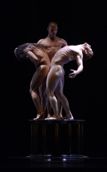 Pilobolus