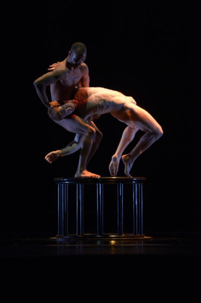 Pilobolus