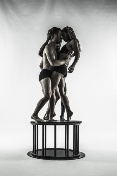 Pilobolus