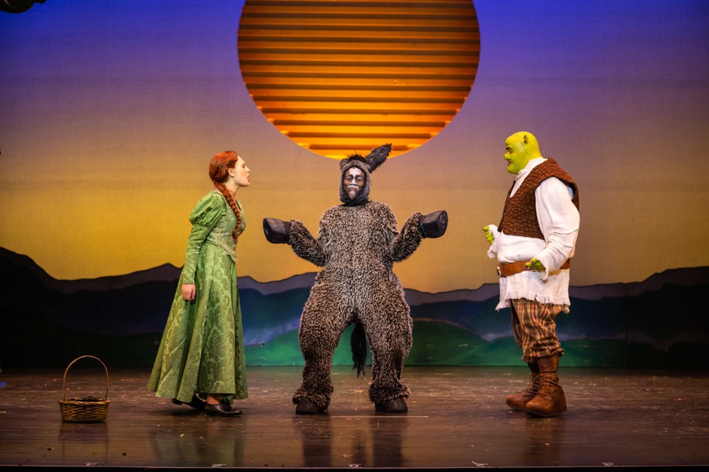 Shrek - fiona and donkey