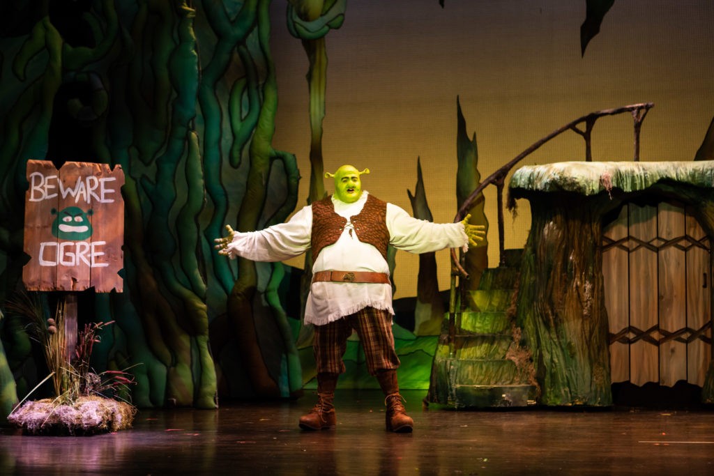 Shrek - on stage in swamp set