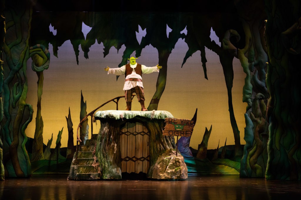 Shrek - on stage in swamp set