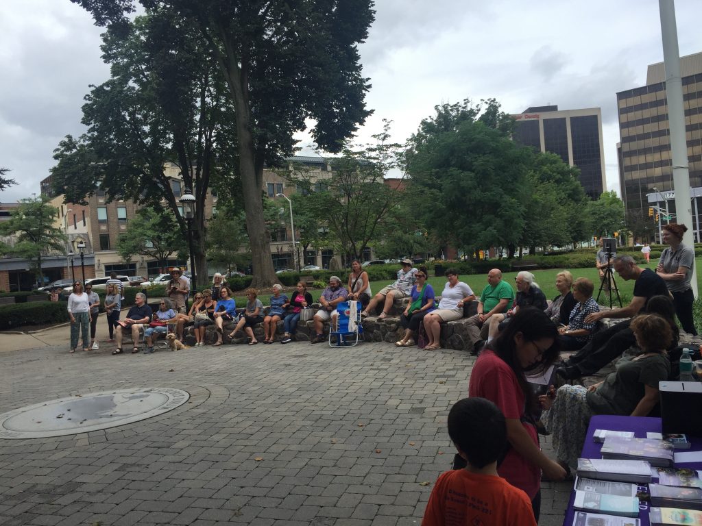 Music Beyond Borders - Forestdance Trio outdoor concert, large gathering of people