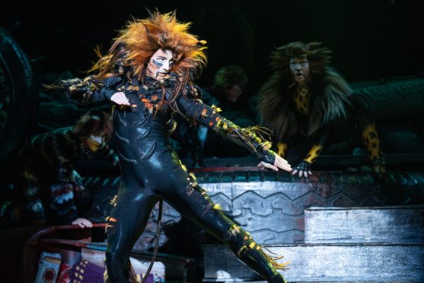 Aiden Pressel As Macavity By Matthew Murphy, Murphymade