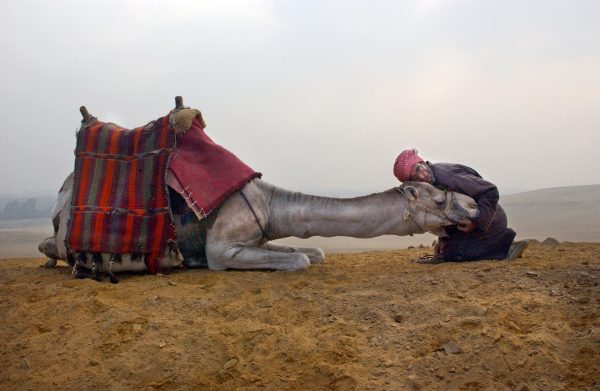 man with camel