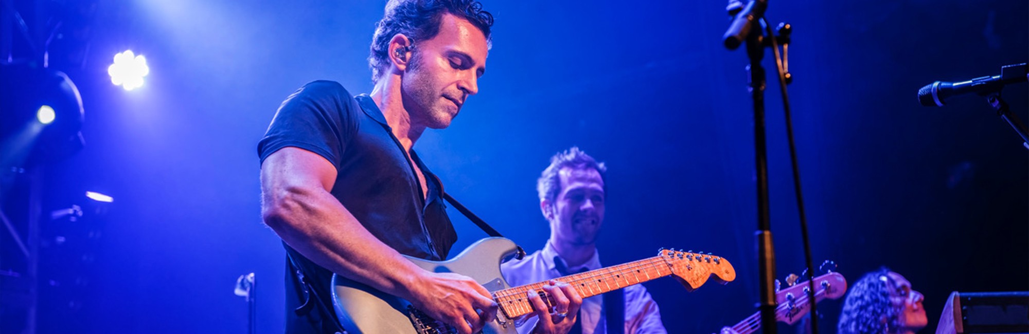 dweezil zappa