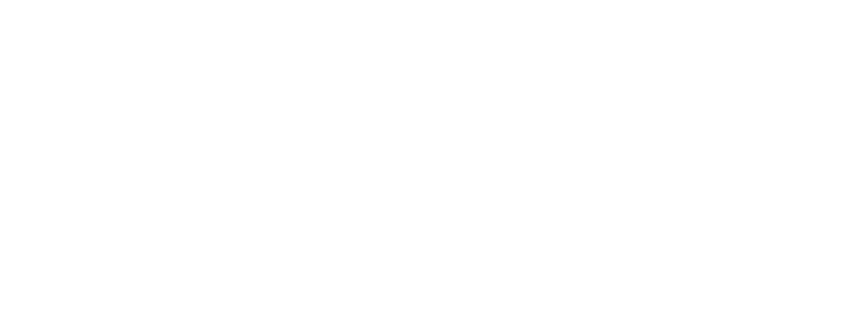 Mayo Performing Arts Center - A Nonprofit Organization