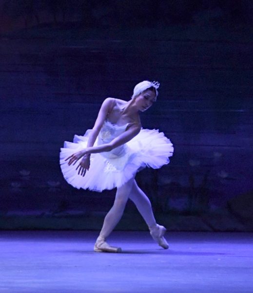 New Jersey Ballet presents: Timeless Masterpieces: Swan Lake Act II and more