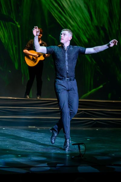 national dance company of ireland, rhythm of the dance live