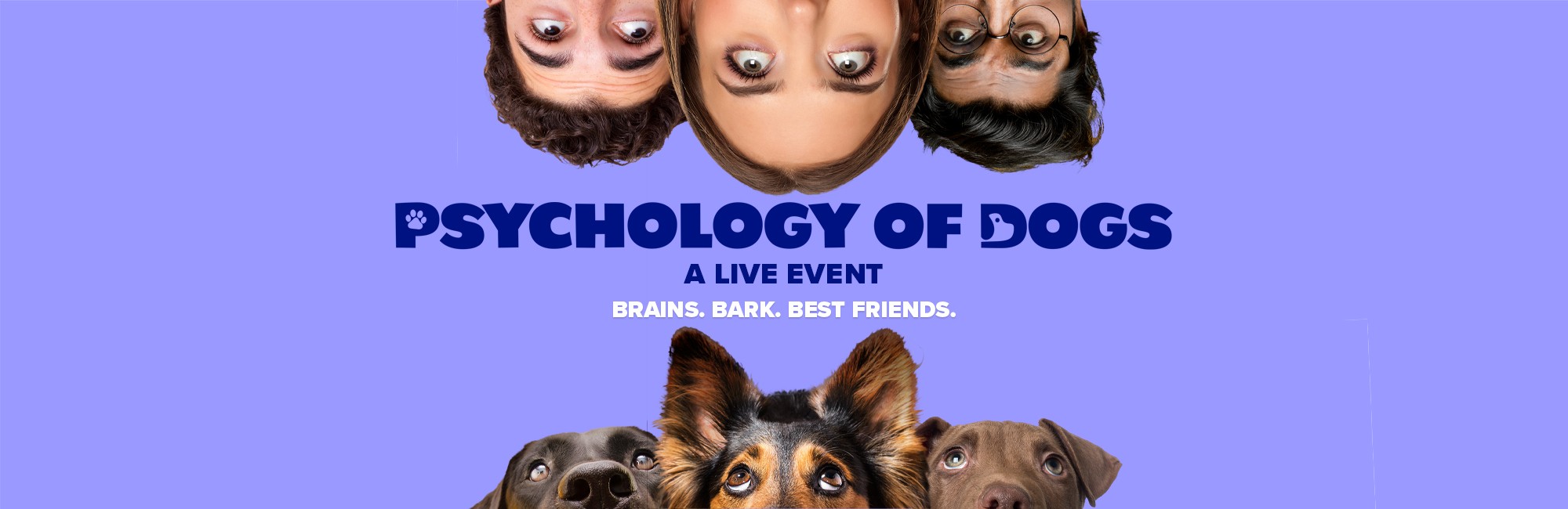 Psychology of dogs